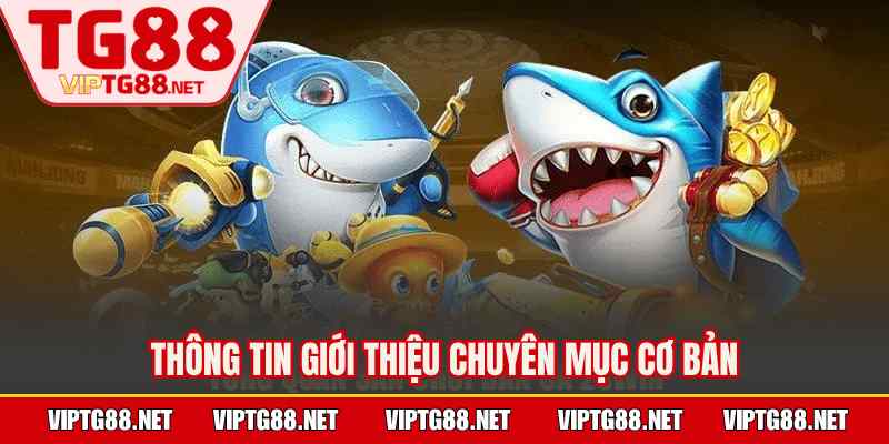 Thông tin giới thiệu chuyên mục cơ bản
