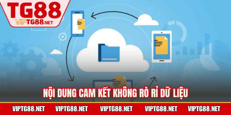 Nội dung cam kết không rò rỉ dữ liệu