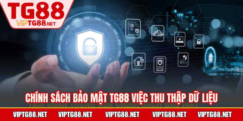 Chính sách bảo mật TG88 việc thu thập dữ liệu