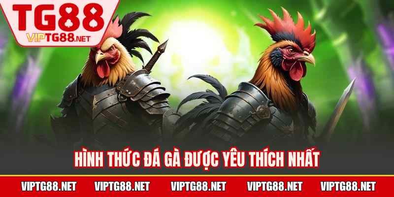 Hình thức đá gà được yêu thích nhất