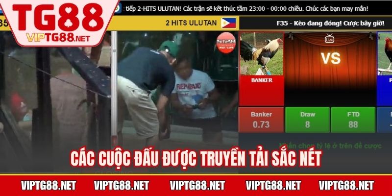 Các cuộc đấu được truyền tải sắc nét