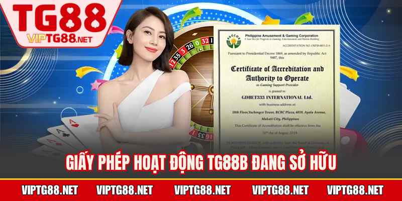 Giấy phép hoạt động TG88b đang sở hữu
