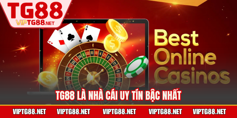 TG88 là nhà cái uy tín bậc nhất
