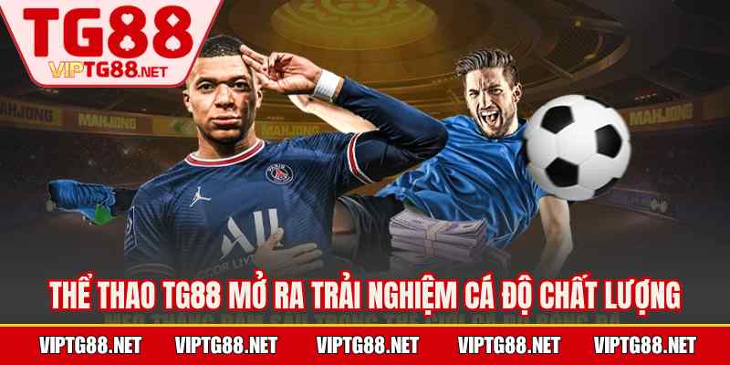 Thể thao TG88 mở ra trải nghiệm cá độ chất lượng