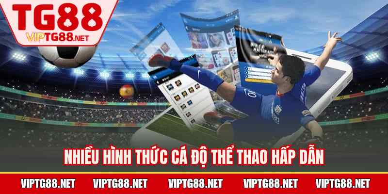 Nhiều hình thức cá độ thể thao hấp dẫn