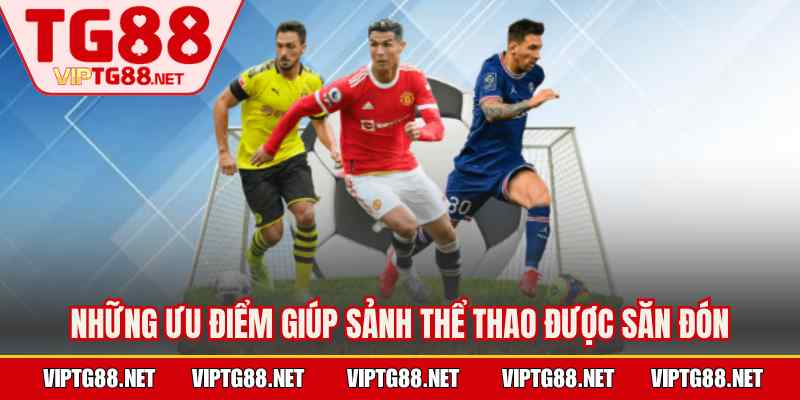 Những ưu điểm giúp sảnh thể thao được săn đón
